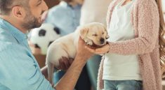 What You Should Know Before You Get a Dog As a Family Pet