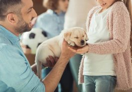 What You Should Know Before You Get a Dog As a Family Pet