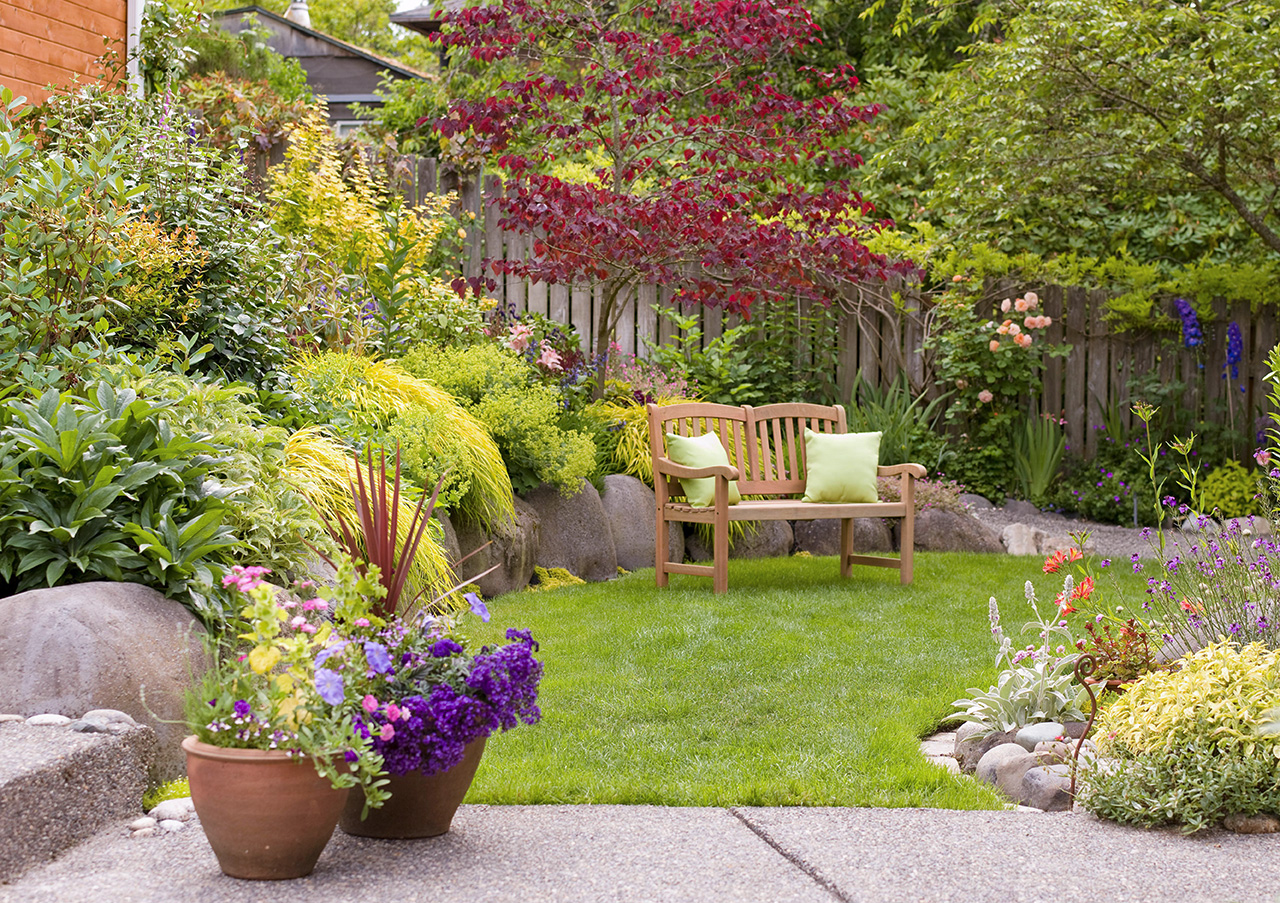 How To Beautify Your Garden At Home